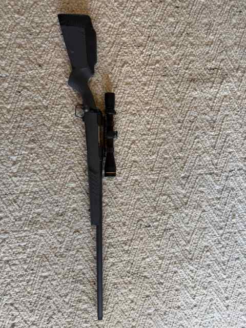 Savage 110 .22-250 Remington Threaded varmint gun