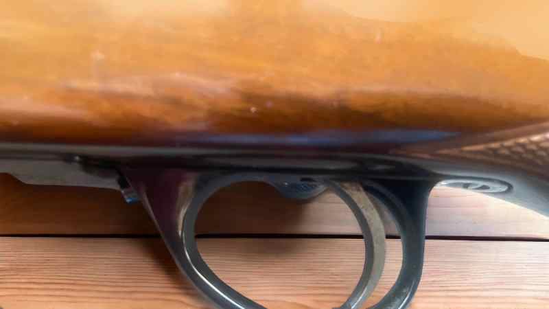 PhotoRoom_20230722_132525.jpeg