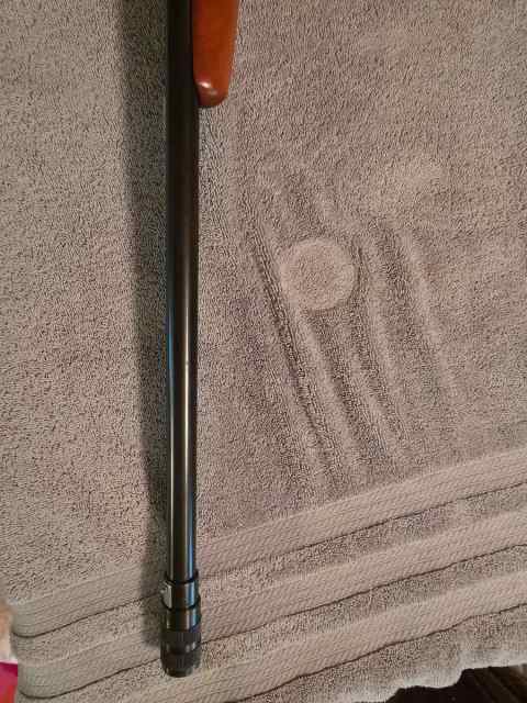 Westernfield 20 gauge