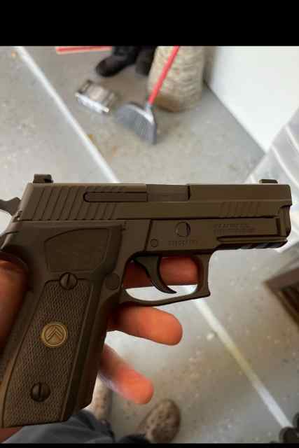 Sig 229 legion