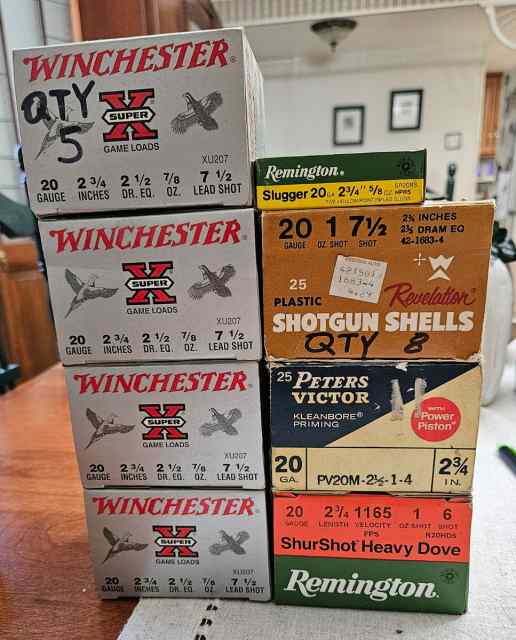 Lot of 20 Gauge ammunition.  $35