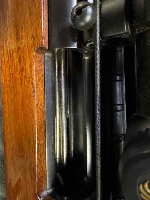 IMG_1510.jpeg