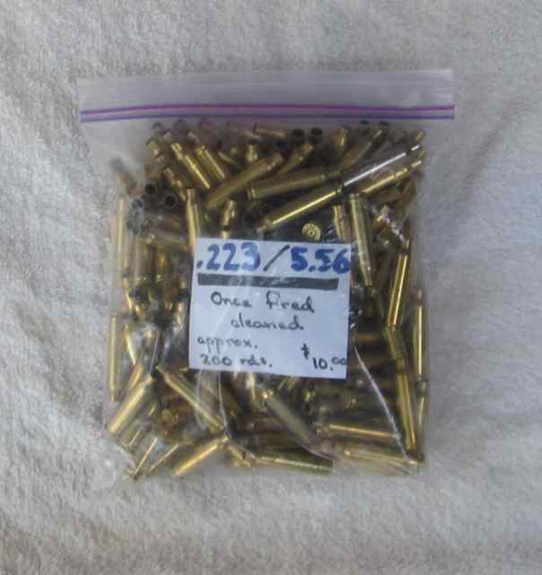 Brass .223.JPG