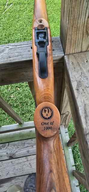 Ruger 10/22