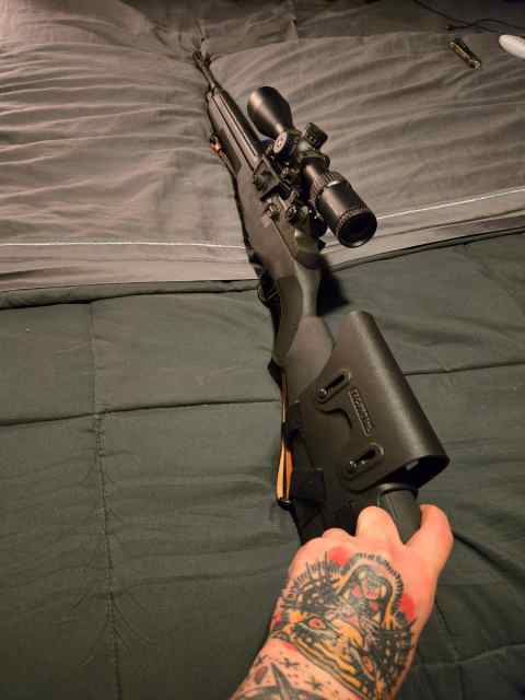 Springfield M1A
