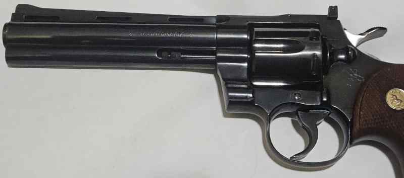 P6.jpg