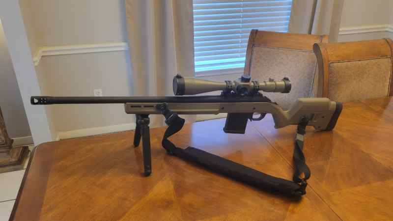 Ruger american hunter 308