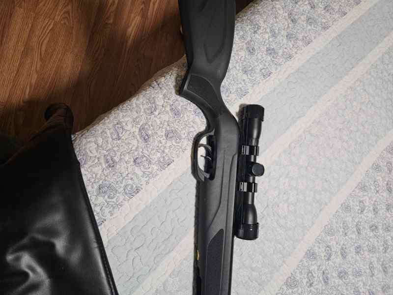 Gamo pellet rifle