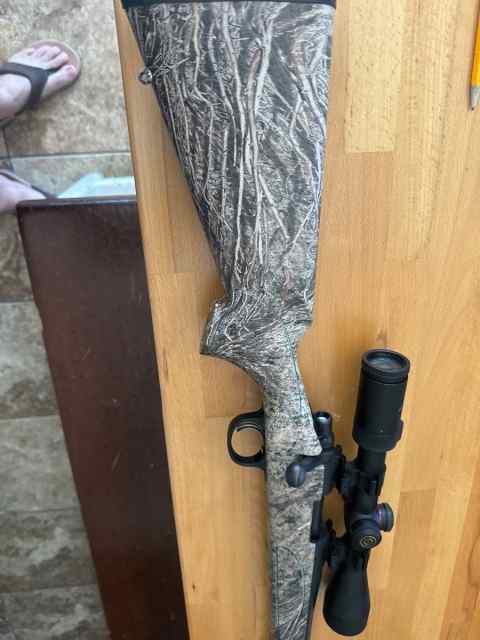 Remington 700 223