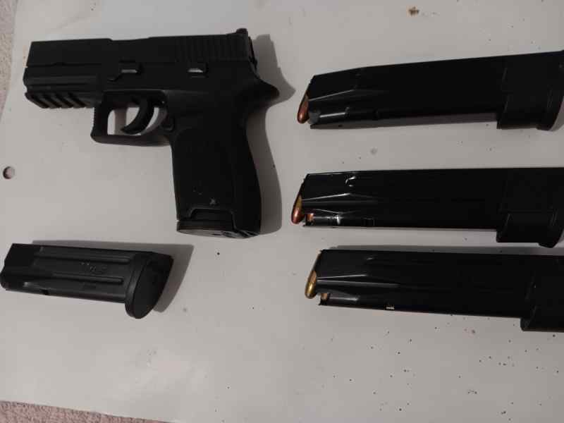 Sig 320