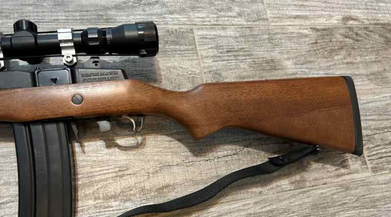 Savage 17hmr