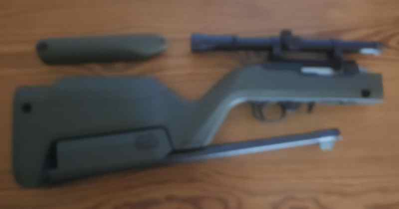 Ruger 10/22 Backpacker