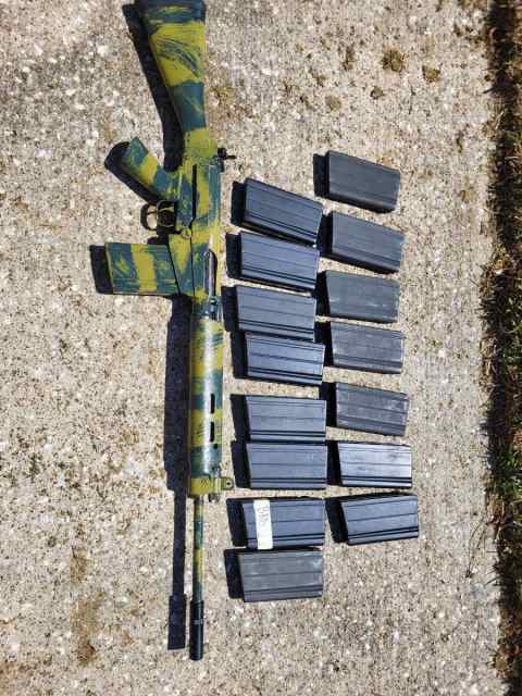 Wtt S&amp;W 19 &amp; FAL