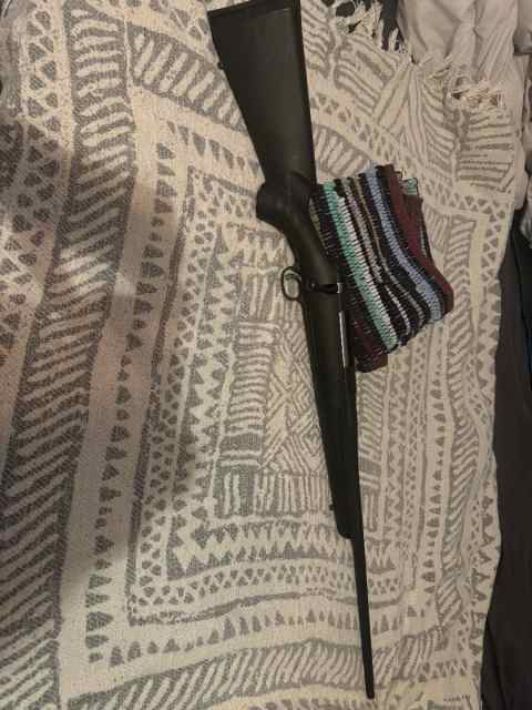 Ruger American .270 with ammo