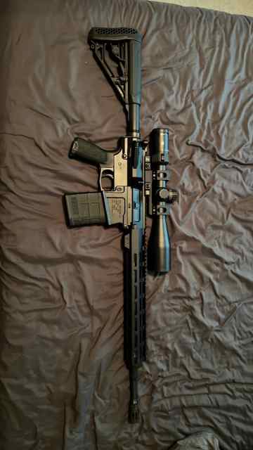 Aero Ar10 with Zeiss scope 