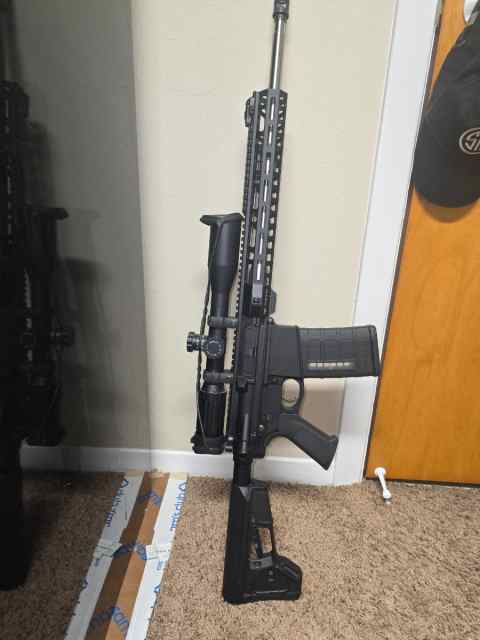 Psa. Ar10. 308