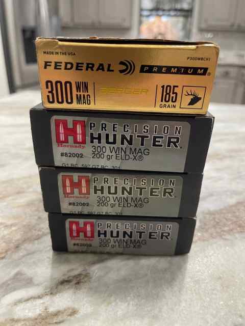 300 Win mag ammo