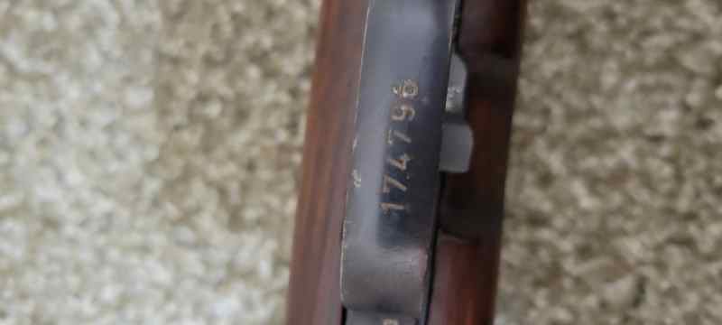 20260505_151604.jpg