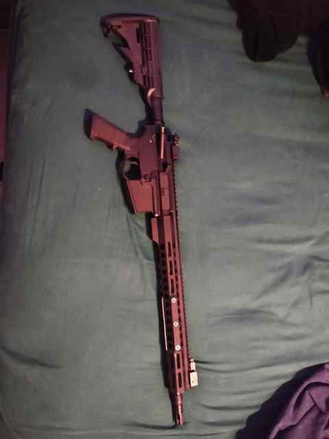 WTS solid basic bones AR