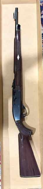 Remington Nylon 66