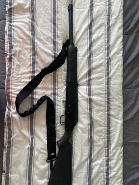 Saiga 12