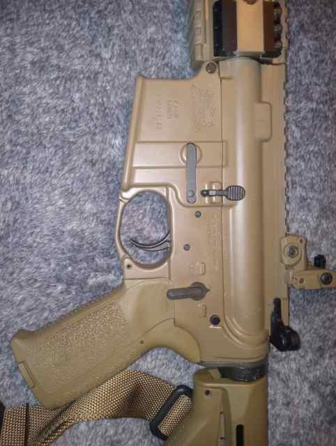 Palmetto AR 15