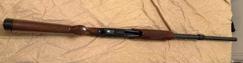 IMG_2110.jpeg