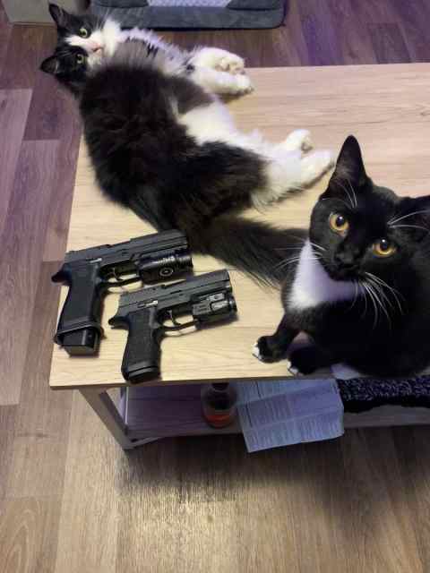 2–SIG P320..Both Modified..SELL OR TRADE