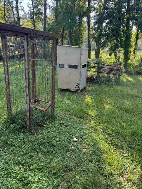 Deer stand and 2 hog traps 