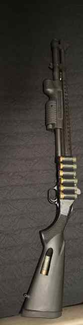 IMG_4236.jpeg