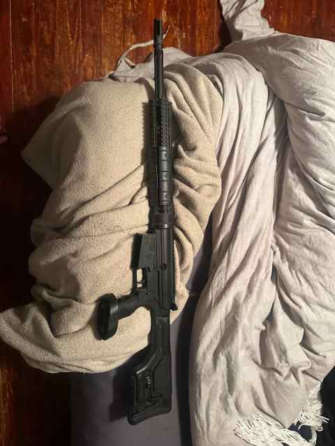 DPMS 308