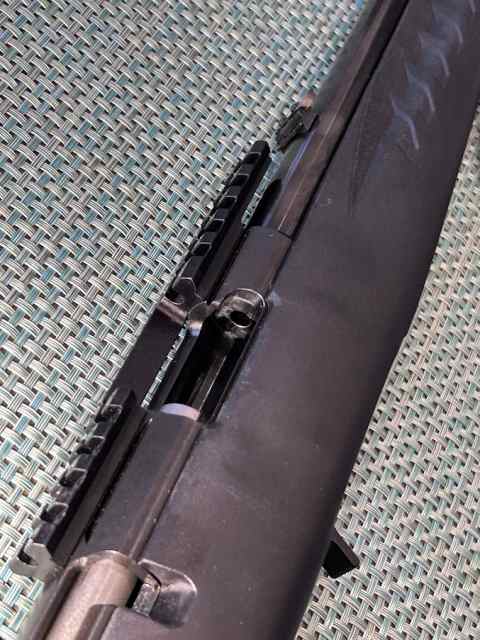rugerAmeriRimfire target2.jpg