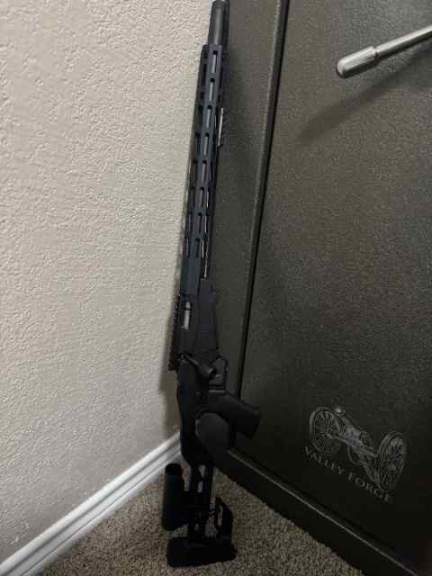 WTS Ruger Precision .22lr