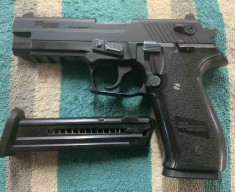 Sig Sauer Mosquito.22