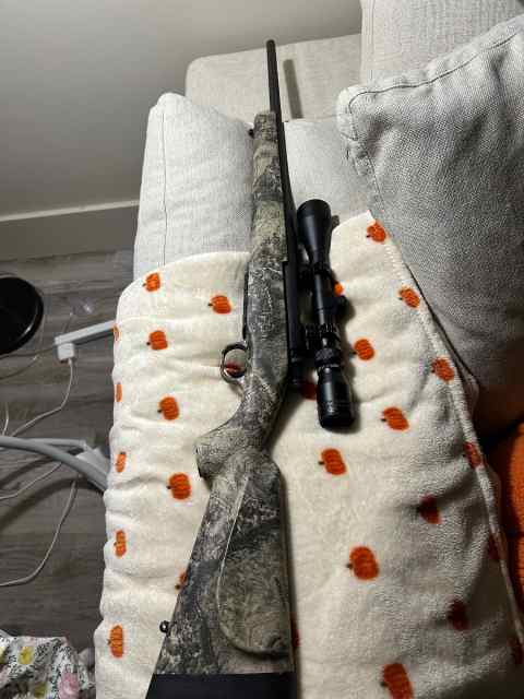 Mossberg 243