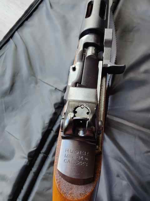 Ruger Mini14 .223