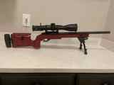 Custom 10/22